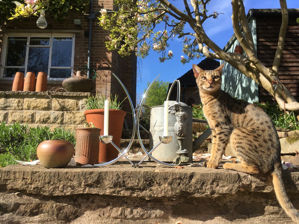 File 24-04-2017, 11 49 37.jpeg